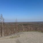 IMG_1780 (1)